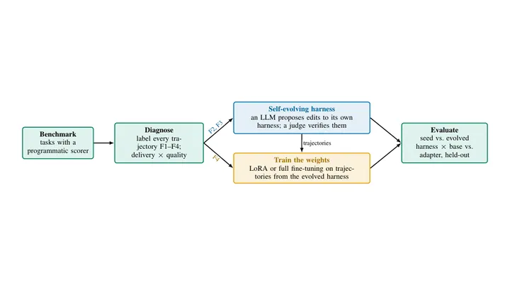 Figure 1 of the paper, arXiv Harness Evolution Hits a Ceiling: When Weight Training Should Begin